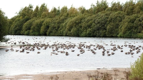 ondanks de lage waterstand.... 