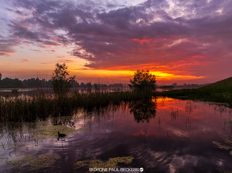 Ooijpolder | Nijmegen