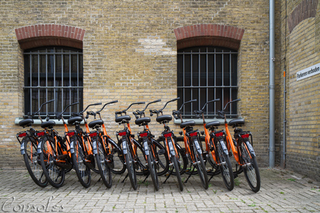 Ten in a row which one one doesn't belong