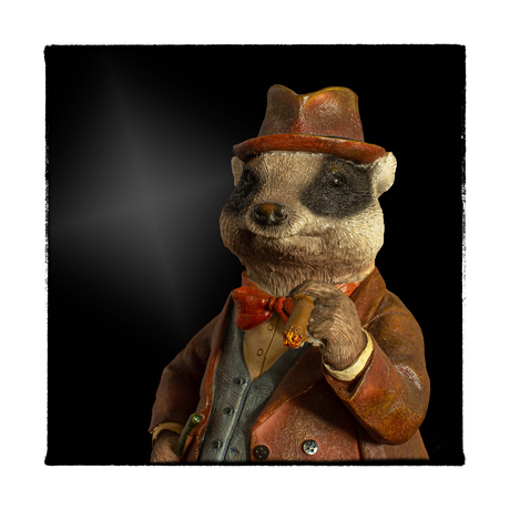 Smoking Badger