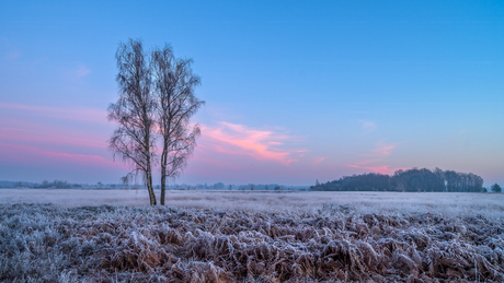 Vlak na zonsopkomst!