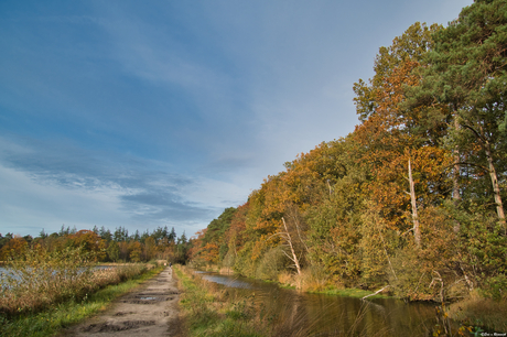 Herfstwandeling