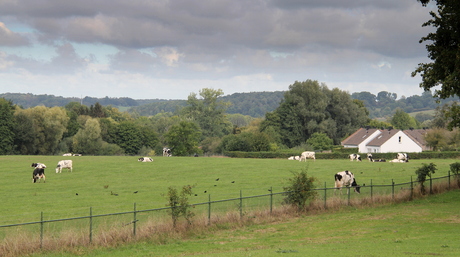 Boerderij in Limburg