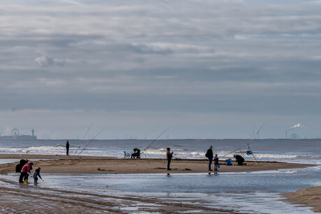 Jong geleerd........