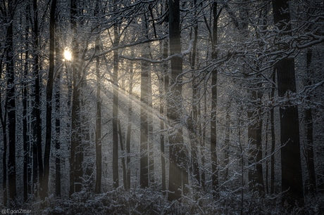 Breda liesbos 5-1-25