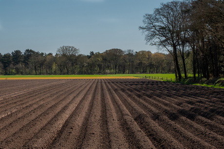 natuur