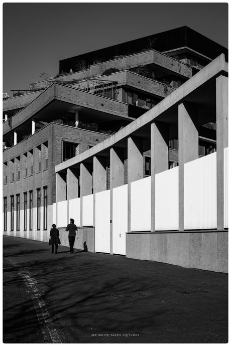Vroege lente wandeling 
