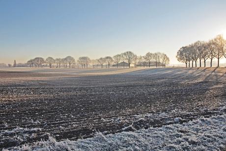 boerenland in winterrust