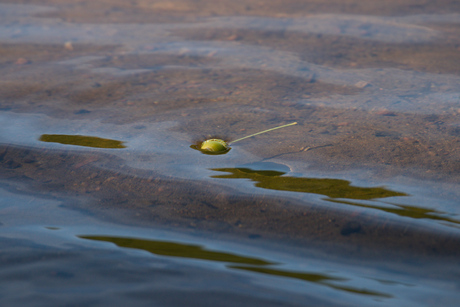 Waar zouden we zijn zonder water?