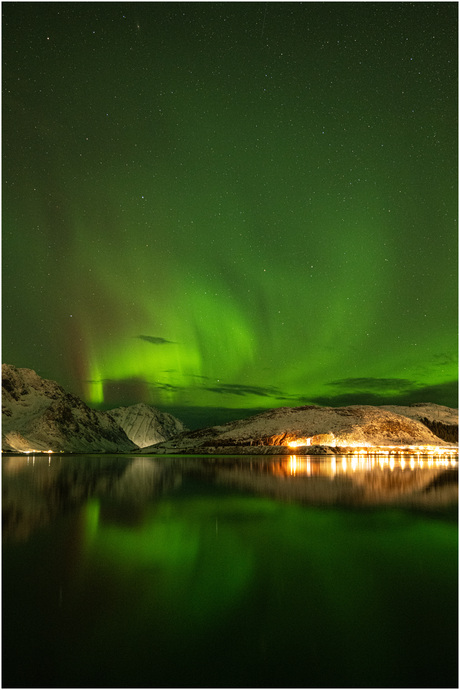 Noorderlicht - Northern light Lofoten