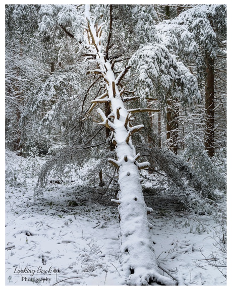 Het zware gewicht van de dood