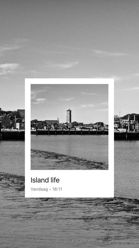 The island life 