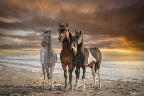 Op het strand