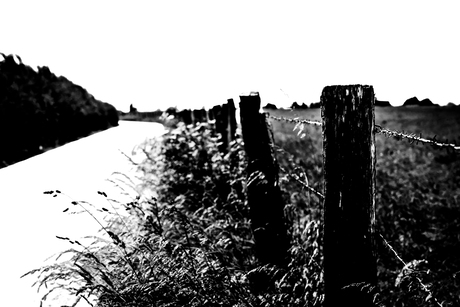 Abstract landschap