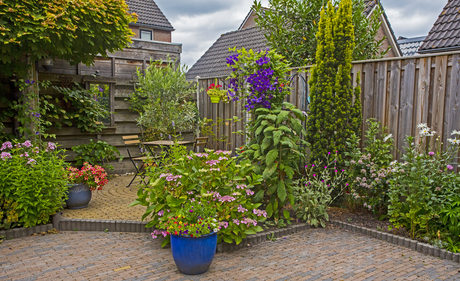 Tuin.