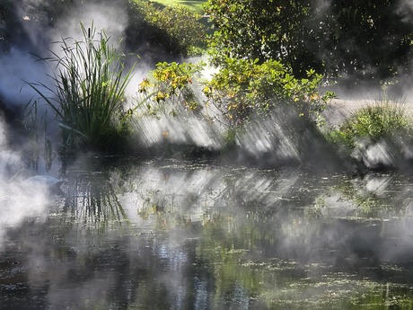 Kasteeltuinen in de Mist