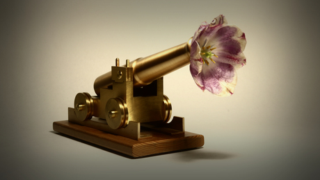 ......vredesmissie.......