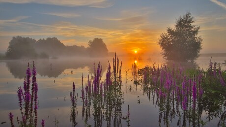 Zonsopkomst aan Het Zwarte Schaar.