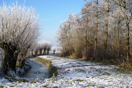 polder