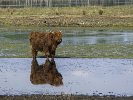 Zo eindelijk wat water