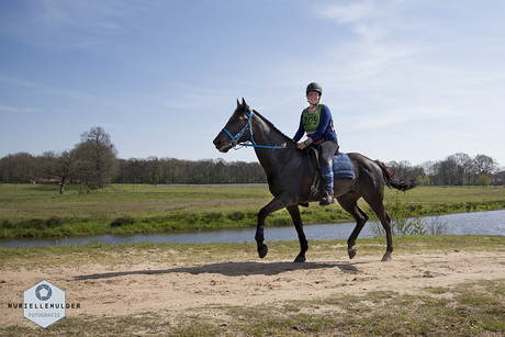 Endurance in beeld 2