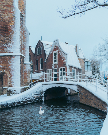 Winter in Delft