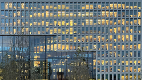 menselijke bijenkorf