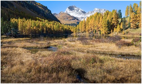 Herfst in Zwitserland