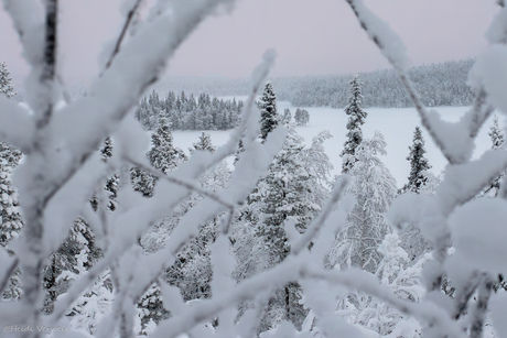 Een mooi doorkijkje in het Finse landschap