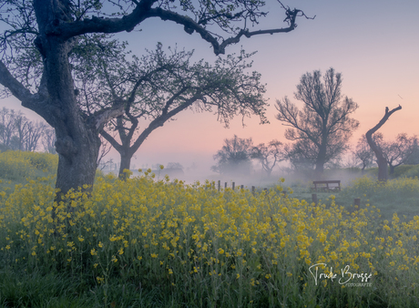 Werk aan de groeneweg