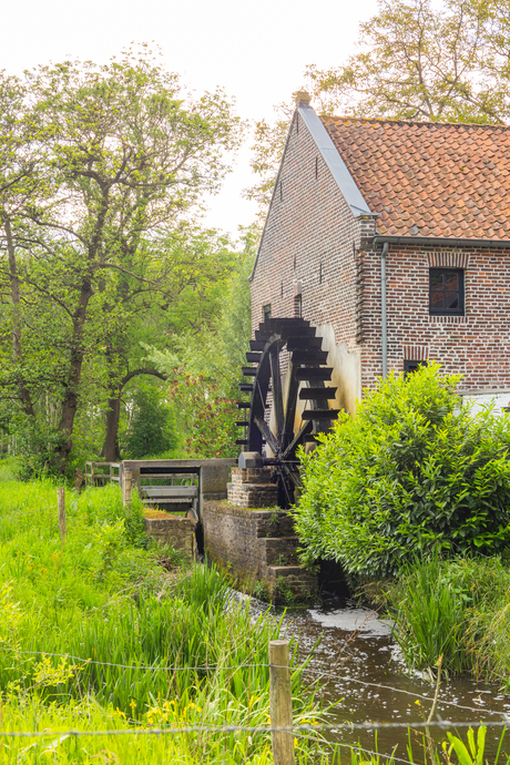 Watermolen (3)