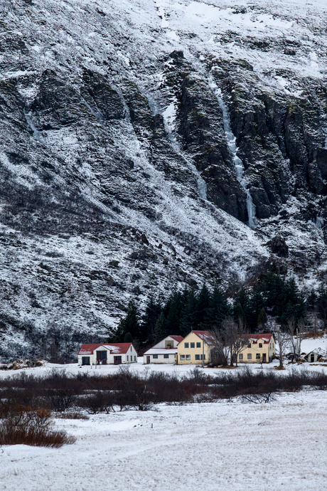 Wonen in IJsland