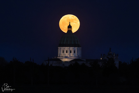 Volle maan Basiliek 