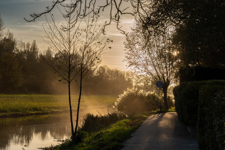 Zonsondergang in de Delftse Hout