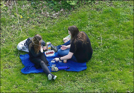 picknicken in het gras..................... 