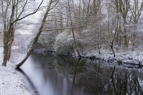 Winter reflectie in de stad