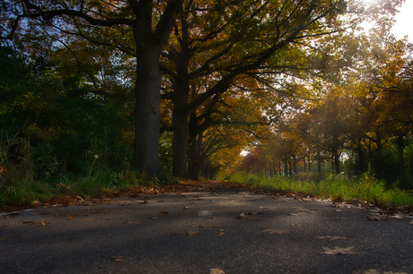 Herfst 1