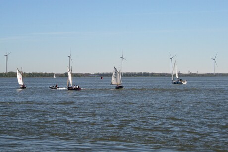 Spelevaren op het Hollands Diep