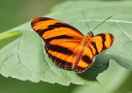laatste zonnestralen