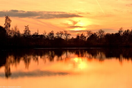 Lakeside Reflections