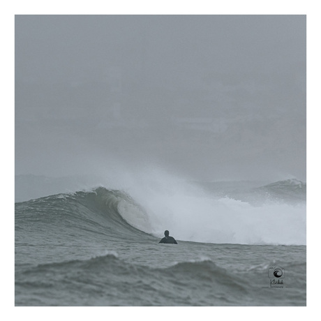 Barrels for lunch… 