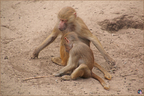 Tot hier en niet verder …