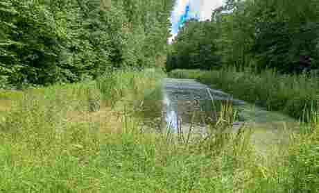 water in het Purmerbos