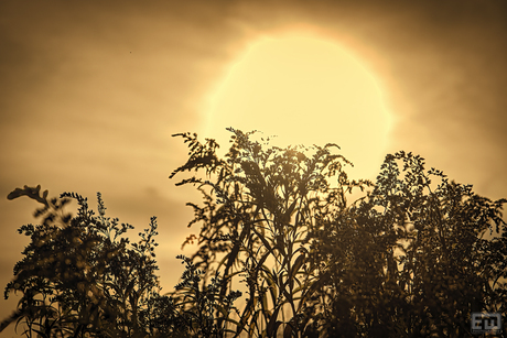 De zon over natuurgebied Meinerswijk Arnhem