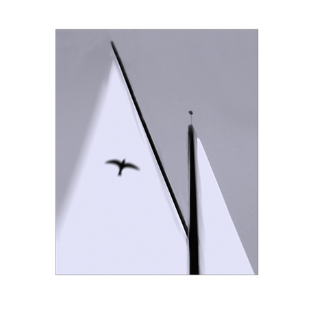 REGATTA