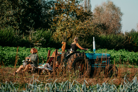 Zonnige herfstdag en de boeren ploegden verder