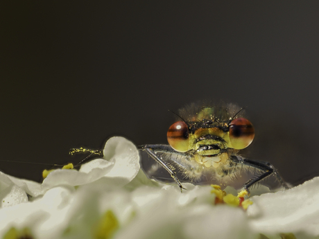 Hi there