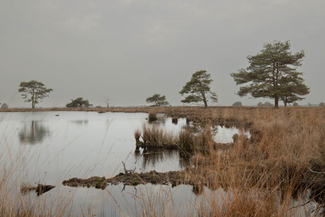 Landschap Drenthe