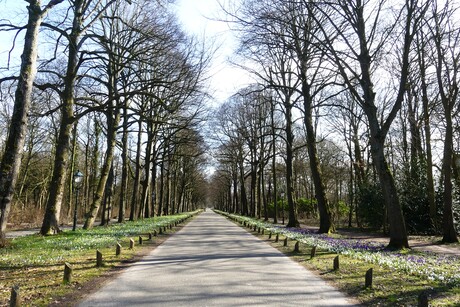 P1270457    Loosduinen Landgoed  Ockenburg  Hoofd pad  op 11 mrt 2025  