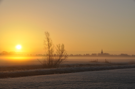 ochtend zon 